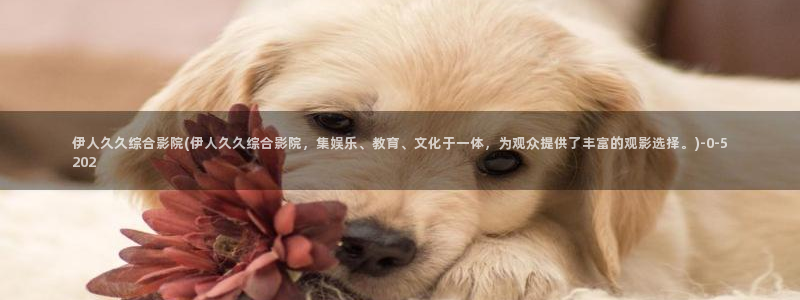 秋霞影院网伊人久久