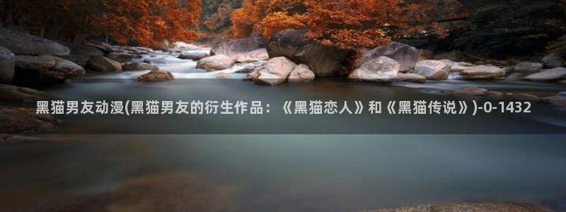 布丁动漫：黑猫男友动漫(黑猫男友的衍生作品：《黑猫恋人》和《黑猫传说》)
