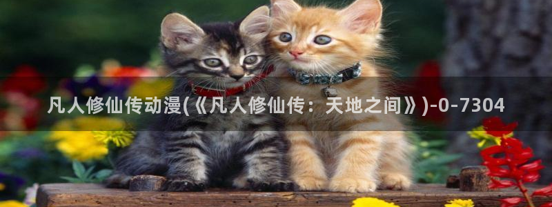 无修动漫：凡人修仙传动漫(《凡人修仙传：天地之间》)