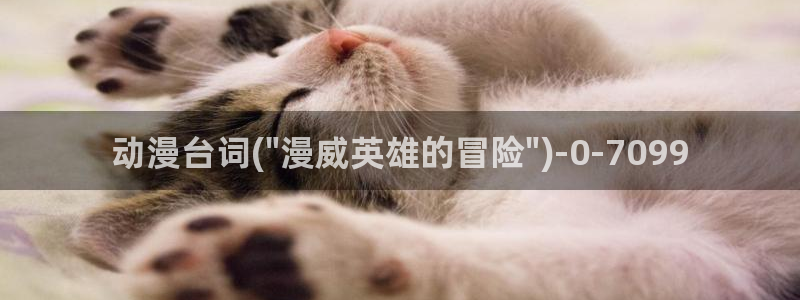 h动漫